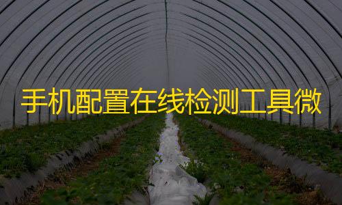 和平精英透视3.0挂下载手机配置在线检测工具微信小程序源码